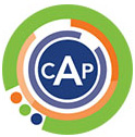 Certified Analytics Professional (CAP)