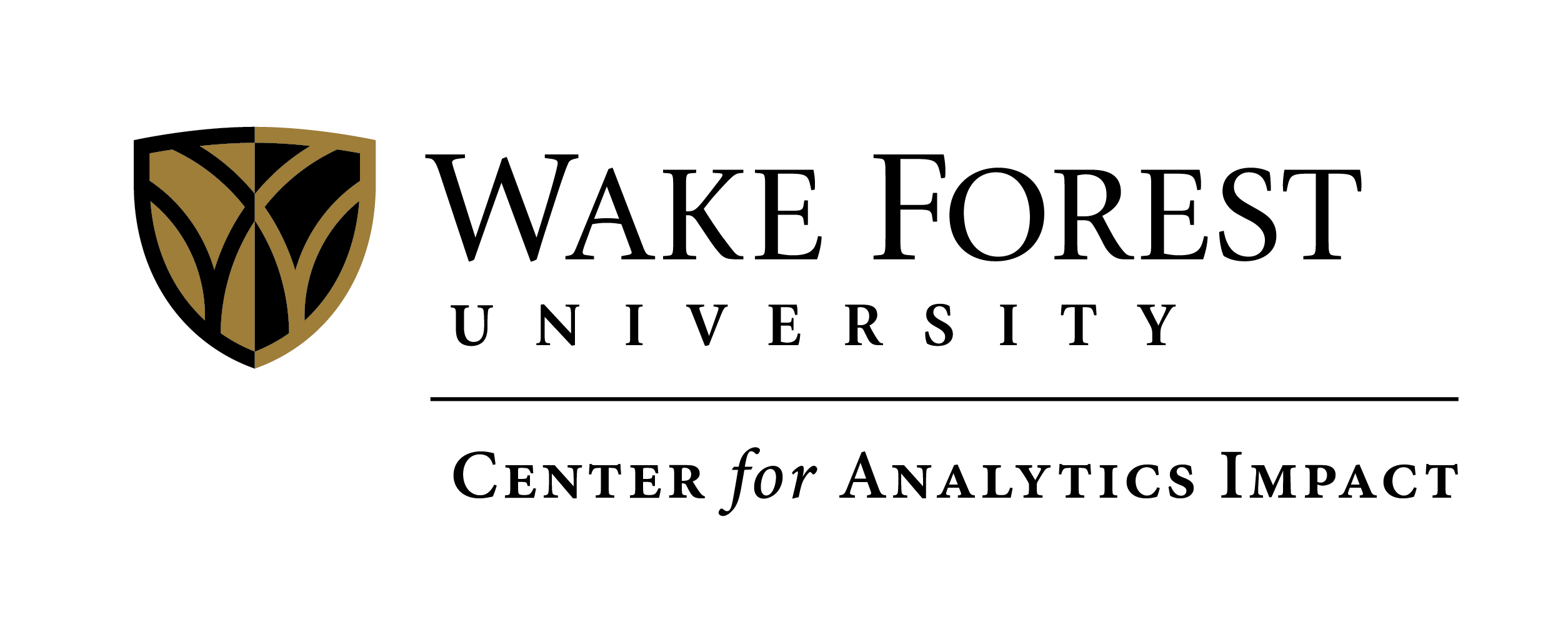WFU-Formal-Center-for-Analytics-Impact