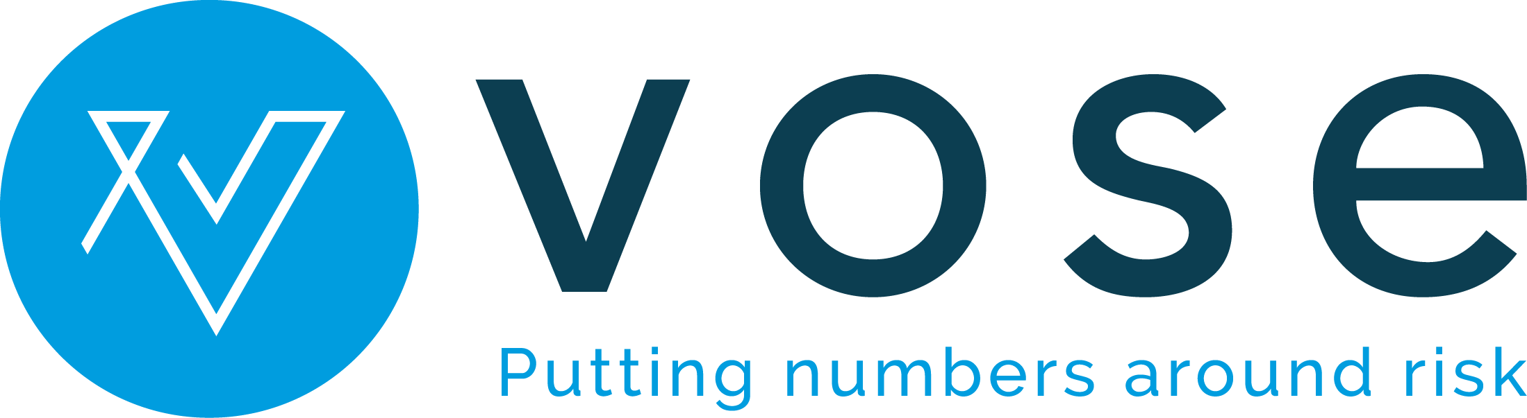 VOSE Logo high resolution